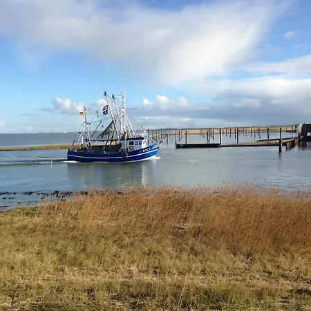 Haus Katja 도누메시어