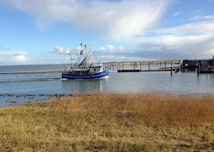 Haus Katja 多纳莫塞尔